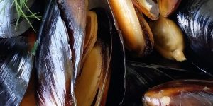 Lyprinex extracto de mejillón