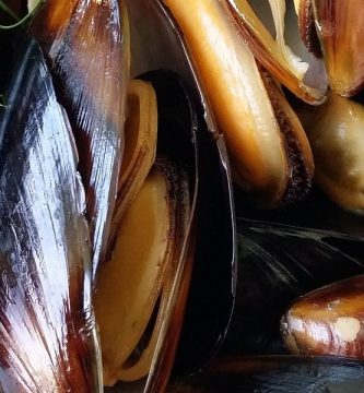 Lyprinex extracto de mejillón