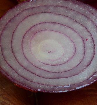 rodajas de cebolla morada. la cebolla y sus propiedades