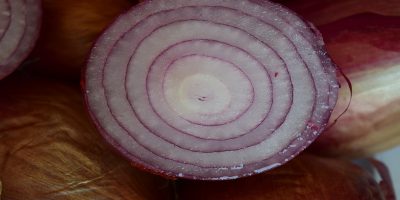rodajas de cebolla morada. la cebolla y sus propiedades