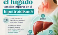 Hígado, glutatión y tiroides: el triángulo invisible de la salud metabólica